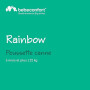 Bebeconfort Rainbow, Poussette Canne Multipositions, Poussette compacte et Légère, de 6 mois à 4 ans, jusqu'à 22 kg, Mineral Gra