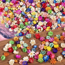 Ruzister 280 Petites Fleurs séchées pour travaux manuels – Mini Fleurs séchées pour résine, Petites Fleurs Naturelles séchées pr