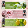 AESHORY Kit Huiles Essentielles Florales Aromathérapie 6x10ML, Huiles Essentielles Florales 100% Naturelle pour Diffuseurs, Apai