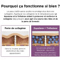 TINGERLAAT Duo Peau Lissée & Éclatante 24H - Crème Hydratation Intense 50g + Baume Régénérant Lissant 40g - Squalane & Tréhalose
