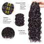 Tissage Bresilien Boucle 9A Brésilien Vague D'eau Vierge Cheveux 12 14 16 Pouces 100% Cheveux Naturel Bresilienne Bouclée les Ch