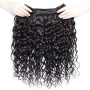 Tissage Bresilien Boucle 9A Brésilien Vague D'eau Vierge Cheveux 12 14 16 Pouces 100% Cheveux Naturel Bresilienne Bouclée les Ch