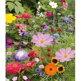100 Graines Mélange Fleurs Gazon Jardin Japonais - 26 Espèces Mélangées - Centaurée - Lin etc... - 326