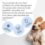 Belly® Baume Coussinet Chien - Hydrate, Guérit, Protège Contre Neige, Sel, Pattes Craquelées & Truffe - sans Parfum - Sûr à Léch