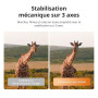 DJI Osmo Pocket 4 Essential Combo, caméra de vlogging avec stabilisateur de Poche, capteur CMOS 1 Pouce et 4K/240 IPS, stabilisa