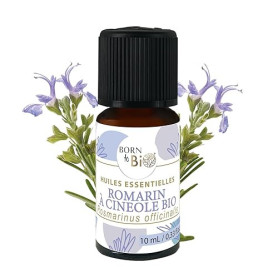 BORN TO BIO Huile Essentielle Romarin à Cinéole Bio - Favorise la Mémoire et la Concentration - 100% Pure et Naturelle - Proprié