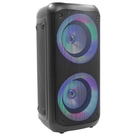 BoomTone DJ Traveler 400 Enceinte sur Batterie, idéale pour Les DJ Mobiles et Les fêtes privées, Bluetooth, lumière intégrée, US