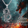 XIXLES Collier dragon en argent sterling 925 oxydé - Pendentif dragon - Bijou animal pour homme