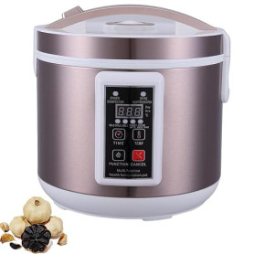 Machine de fermentation à l'ail noir, boîte de fermentation d'ail de 5 l, fermenteur d'ail noir avec support à ail en acier inox
