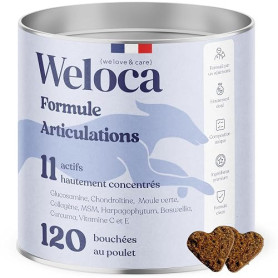 Arthrose Chien | 120 compléments Premium | 11 Actifs puissants hautement dosés (Moule Verte, harpagophytum, chondroïne, Glucosam
