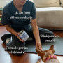 Arthrose Chien | 120 compléments Premium | 11 Actifs puissants hautement dosés (Moule Verte, harpagophytum, chondroïne, Glucosam