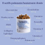 Arthrose Chien | 120 compléments Premium | 11 Actifs puissants hautement dosés (Moule Verte, harpagophytum, chondroïne, Glucosam