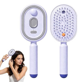 Peigne de Massage Électrique à Coussin d'Air avec Spray et Lumière Rouge, Brosse Vapeur Cheveux, Coiffage Lissant pour Cheveux S