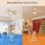 Newday Ventilateur de Plafond avec Lumiere Couleur En Bois, 106cm Ventilateur de Plafond avec Telecommande Silencieux, Dimmable