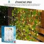 Bigzom Guirlande Lumineuse,Guirlande Feuille 2M,guirlande lierre lumineuse 20 LEDS,guirlande de lierre lumineuse pour Lntérieur,