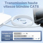 ikbc Cable Ethernet 40m, Cat 6 Cable RJ45 40m FTP Blindé Câble Réseau Blanc | Gigabit Cable Internet 40 Mètres Haut Débit, Anti-