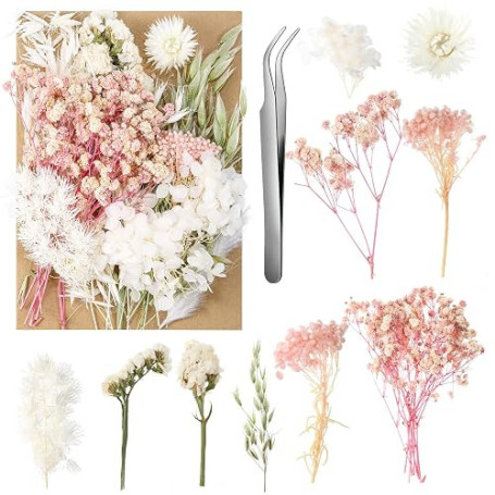 aurorayer Fleurs Séchées, Fleurs Sechees Naturelles Vraies Fleurs Pressées Séchées Decoration pour Scrapbooking Bougie Bricolage