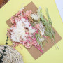 aurorayer Fleurs Séchées, Fleurs Sechees Naturelles Vraies Fleurs Pressées Séchées Decoration pour Scrapbooking Bougie Bricolage