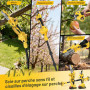 4 en 1 Tronconneuse à Batterie&Secateur Electrique avec Perche Télescopique | Portée Max Jusqu'à 4,2m, 1000 W Moteur & 2 Batteri