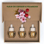 Air Wick Desodorisant Maison Recharge Diffuseur Electrique Fleur de Cerisier et Framboise - 3 x 19 ML