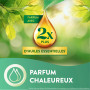 Air Wick Desodorisant Maison Recharge Diffuseur Electrique Fleur de Cerisier et Framboise - 3 x 19 ML