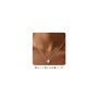 ZHESHY Collier Femme Or Pierre de naissance Trefle A 4 Feuilles Chaine | Zircone Cubique,Plaqué Or 14k,Imperméable,Réglable,Pers