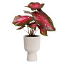 Elho Vibes Fold Coupe 30cm Pot de Fleur - Linen White | Ø 29.5 x H 44.7 cm | Convient à une Utilisation Intérieure | Plastique 1