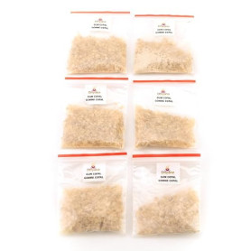 DHYANA Résine d'encens - 6 Sachets de 16g - Encens Naturel pour Purifier - Origine Inde - Total 100g (Copal)