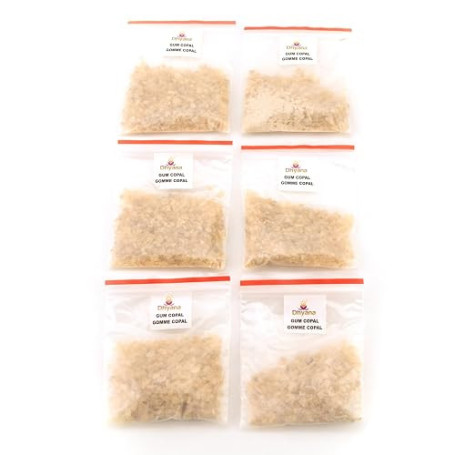 DHYANA Résine d'encens - 6 Sachets de 16g - Encens Naturel pour Purifier - Origine Inde - Total 100g (Copal)