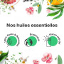 Voshuiles - Huile Essentielle Graines de Céleri - 10ml - 100% Pure et Naturelle - HEBBD - Utilisation en Massage dans Huile Végé