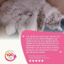 BEAPHAR – LACTOL – Lait maternisé pour Chaton en Poudre – Enrichi en DHA – Source de protéines de Haute qualité – pour Chaton No
