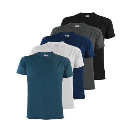 ALPIDEX Tee Shirt Homme S-5XL Lot de 5 Basique Manches Courtes 100% Coton | 175 g/m², Manches Courtes, Coupe Droite, OEKO-TEX, R