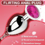 2 Pièces Plug Anal, Set de Jouets Érotiques Anaux, Anal Plug Débutant, Sextoyse Couple Plaisir, Surface Lisse pour un Contact Ag