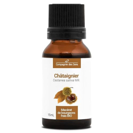 Châtaignier BIO (Castanea Sativa) – Macérat concentré de bourgeons frais