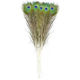 10 pièces plumes de paon Long 80~90 cm（31.5~35.4 inch）, Plumes Grande Pour Décoration Maison, Mariage, Bricolage, Vase
