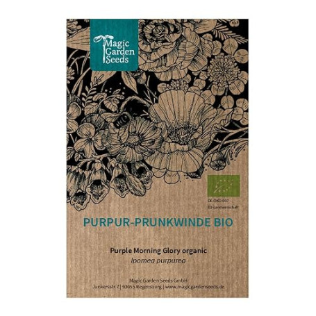 Le liseron pourpre/Ipomée pourpre (Ipomea purpurea) bio env. 20 semences