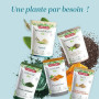 Psyllium blond bio - Téguments purs - Transit, digestion- Sachet refermable | Cure de 2 mois 200g - Ispaghul - Confort intestina