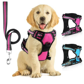SIBOTER Harnais pour Chien, Anti Traction, Réfléchissant, avec Laisse, pour Entraînement en Plein Air (Rose, M)