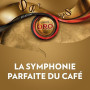 LAVAZZA - Café Grain Lavazza Qualità Oro - 100 % Arabica - Café Grain Italien - Intensité 5 - Paquet de 1 kg