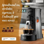 Senseo Classique 400 dosettes café | Lot de 10 x 40 dosettes - Torréfaction équilibrée et riche
