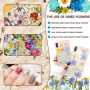 Vautvis 159 Fleurs Séchées Naturelles avec 1 Pince | Vraies Fleurs Pressées, Décoration Scrapbooking, Bougie Bricolage, Résine É