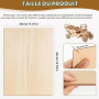 FoiiLiio 12 Pièces A3 Contreplaqué 3mm, Feuilles de bois de tilleul 42 x 30cm, Feuilles de bois minces pour modélisme, gravure,