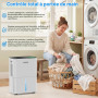 SHANNA Deshumidificateur d air 10L/J, déshumidificateur pour maison 30m² avec arrêt automatique, idéal pour, salles de bains, ch