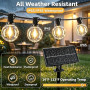 LaPitio Guirlande Lumineuse Exterieure Solaire 30M, 50+2 Ampoules étanches | Chargement Solaire ou USB, 3 Modes, Guirlande Guing