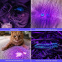 Lepro Lampe UV 395nm Détecteur | 51 LEDs ultra-violet. Détecteur pour Traceurs Fluorescents Chien Chat Tapis Détecteur Urine Sco