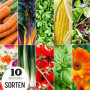 valeaf kit de graines de légumes - assortiment de semences prêt à pousser - 10 délicieuses variétés de légumes pour les enfants