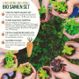 valeaf kit de graines de légumes - assortiment de semences prêt à pousser - 10 délicieuses variétés de légumes pour les enfants