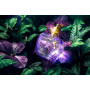 JEANNE ARTHES Amore Mio Forbidden Fruit Parfum Femme Floral Fruité 100 ml | Eau de Parfum - Flacon Vaporisateur 100 ml - Fabriqu