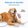 etguuds Câble USB C Rose 2Pack 1M, Câble Type C Charge Rapide Nylon Tressé | Câble Chargeur USB A vers USBC pour iPhone 17 16 15