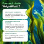 Omega 3 Vegan, Huile d'Algues en Gelules 2000mg Omega 3 DHA EPA, 90 Gélules | sans Huile de Poisson (Fish Oil) ni Huile de Krill